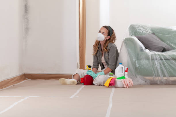 Reliable Crawl Space Mold Removal contractor in Circle Pines, MN by WQB Mold Removal